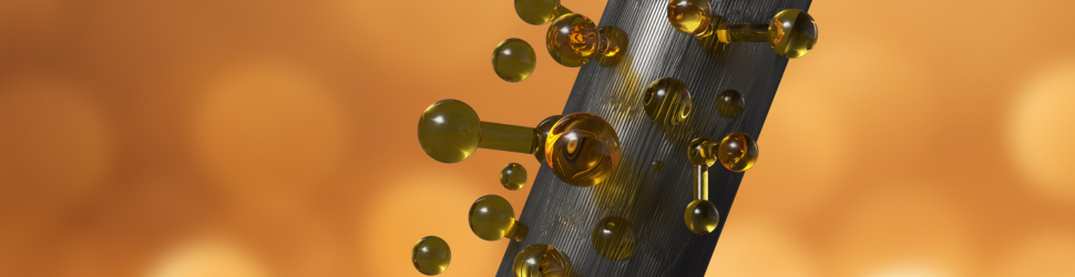 Modern Hair Care Science: From Follicle to Formulation